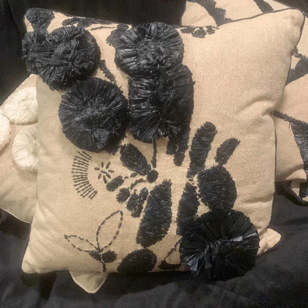 Throw Pillow’s